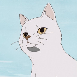 Avatar do usuário